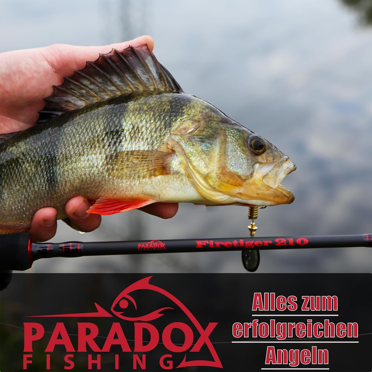 Paradox Fishing Wasserdichte Tackle Box M, 27,5 × 18 × 5 Cm
