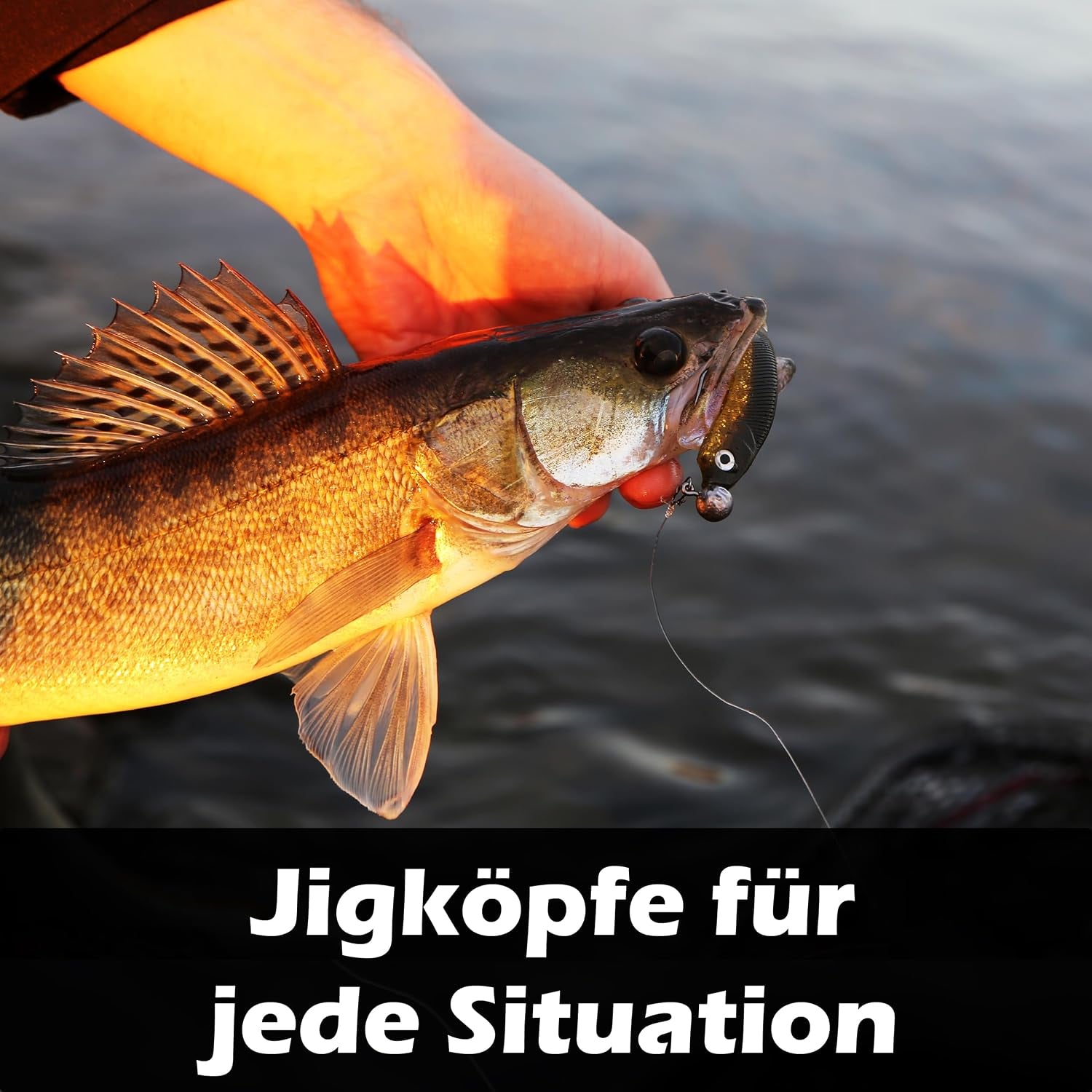 Paradox Fishing Jigköpfe Sets 2/0 3/0 4/0 5-28G - 15/25 St. - Jig Köpfe Gummifisch Mit Jighead Für Gummifische Zander Angelzubehör